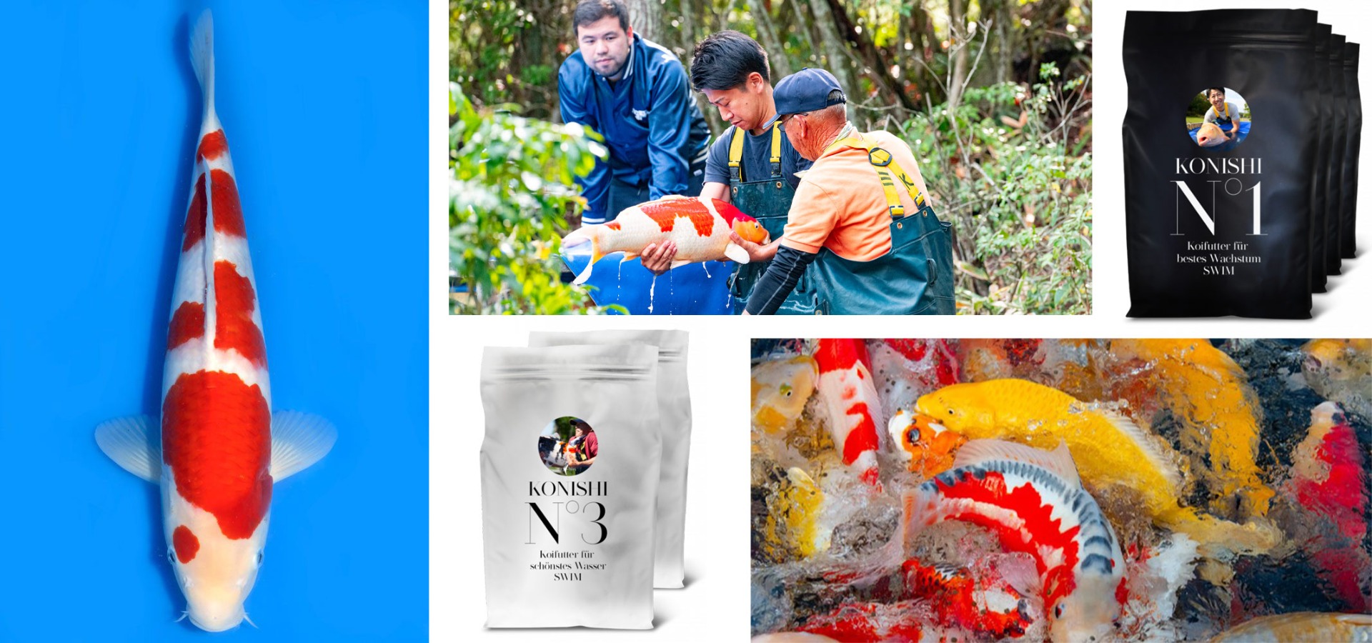 Porzellan Supplier